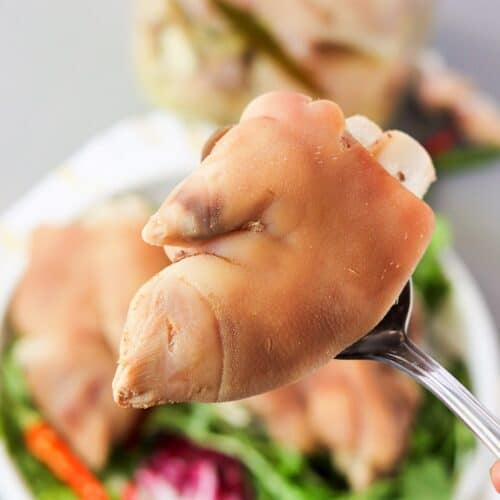Cooking pig feet in pressure cooker outlet