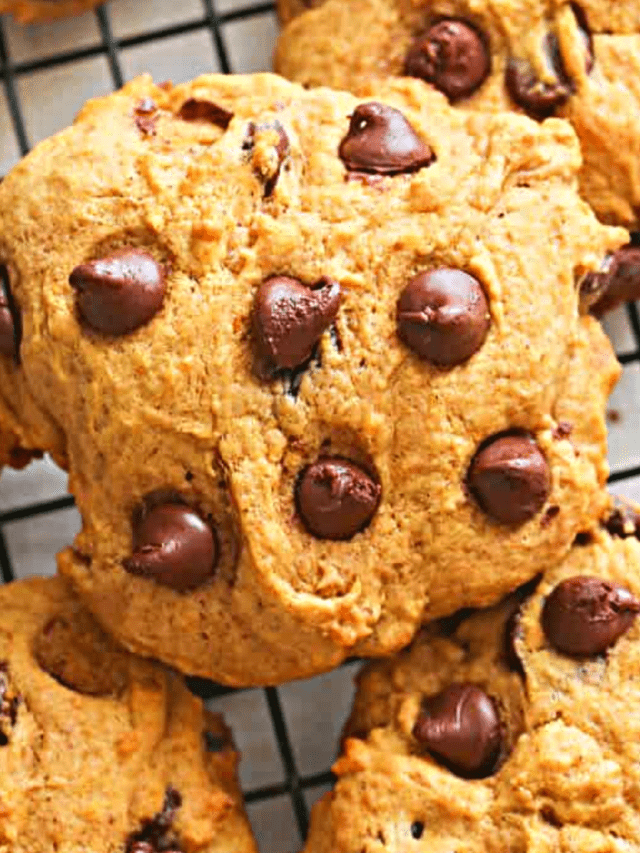Pumpkin chocolate chip cookies fall cookie recipes Immaculate Bites