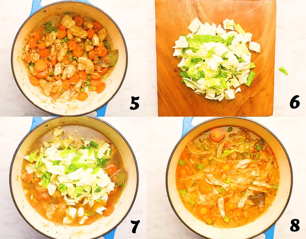Chicken Cabbage Soup Immaculate Bites