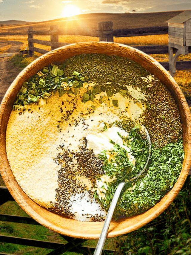 Ranch Seasoning Homemade Mix Recipe Immaculate Bites