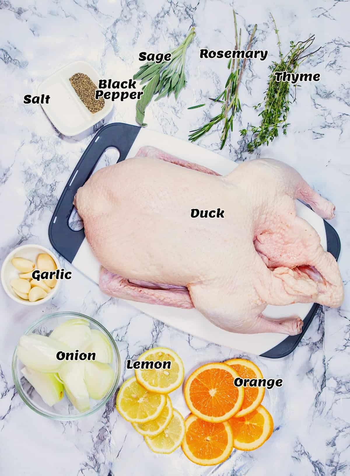 Recipe Ingredients for a delicious holiday dinner