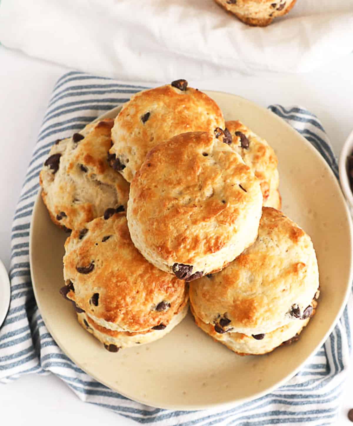 A plateful of tender, buttery Chocolate Chips scones sure to become your next family favorite!