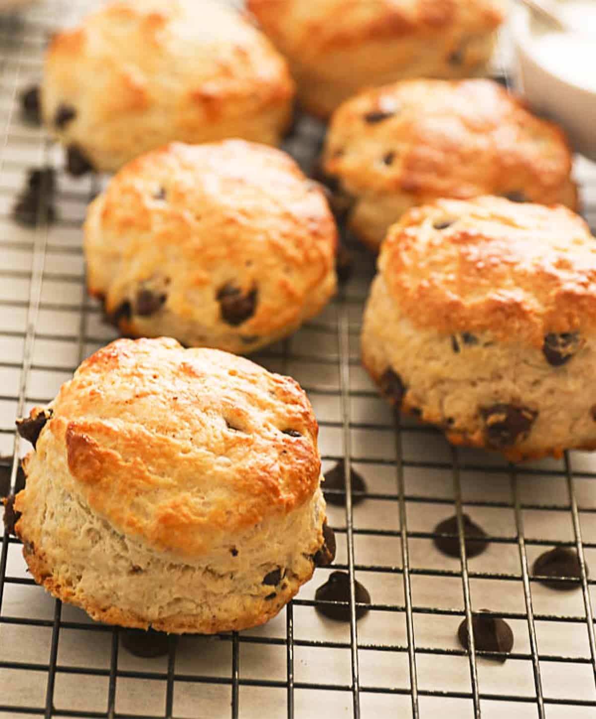 Freshly baked Chocolate Chip Scones ready to enjoy