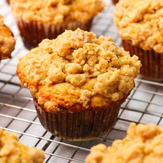 A delicious Apple Cinnamon Muffins ready to serve