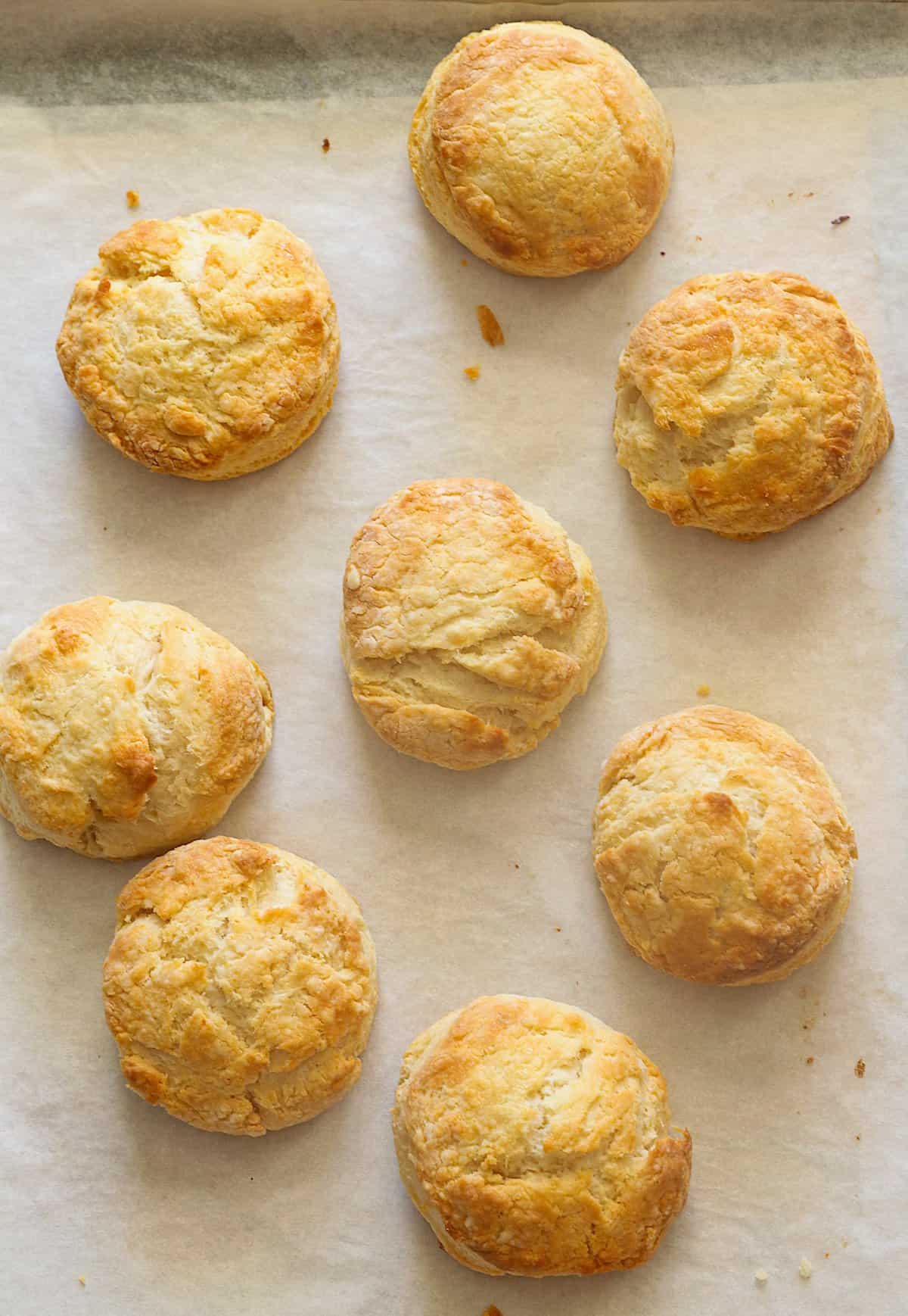 A fresh batch of Honey Butter Biscuits fresh from the oven