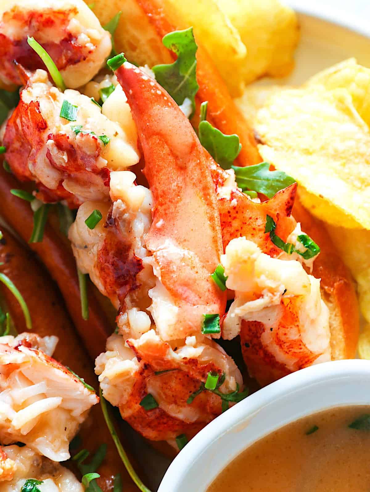 A mouthwatering closeup on a Connecticut Lobster Roll with a side of potato chips and herbed butter