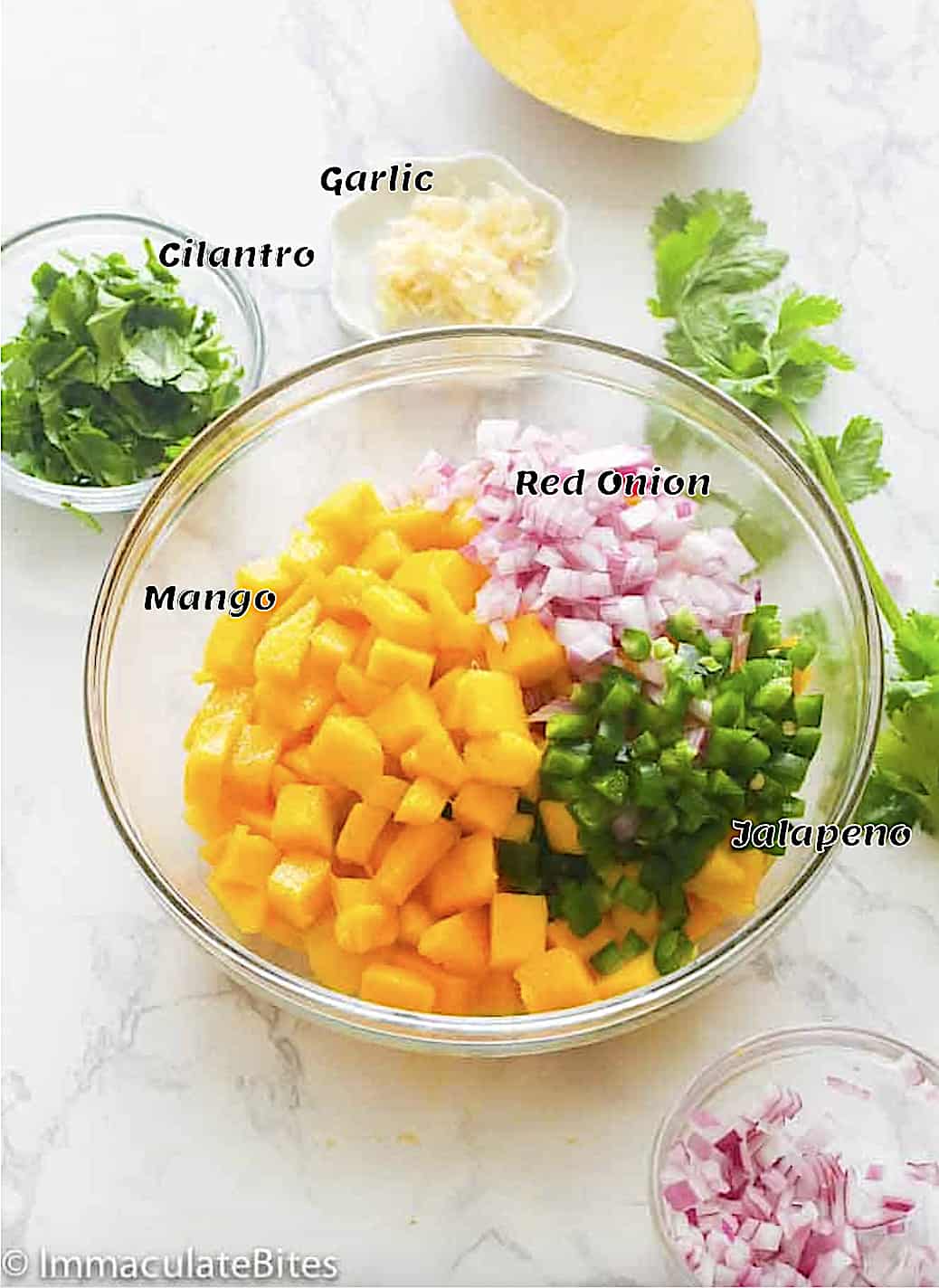Recipe Ingredients