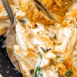 Serving up creamy Alfredo sauce smothering penne pasta and topped with pan-fried chicken breast