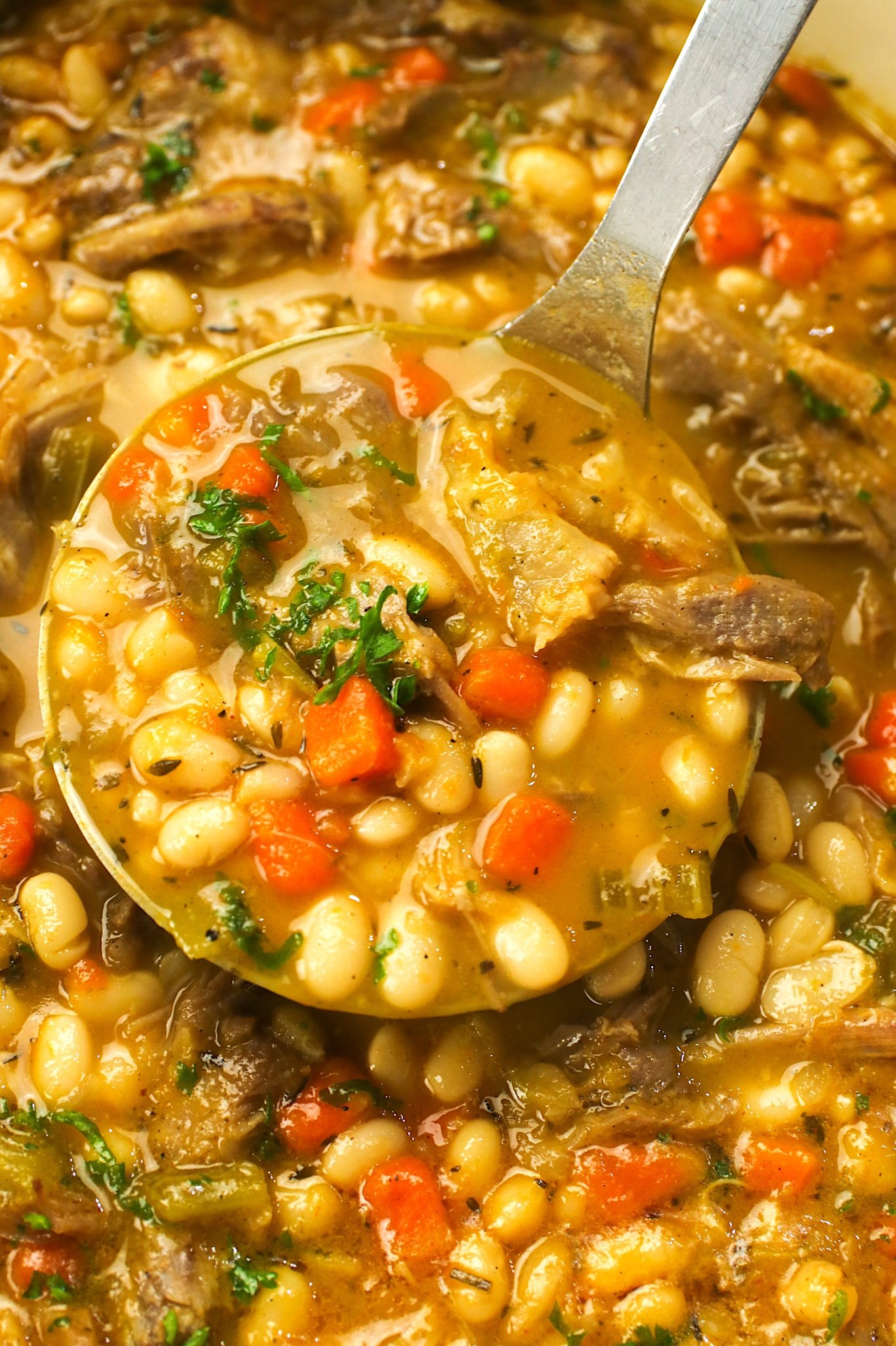 Healthy ladleful of white bean soup and ham