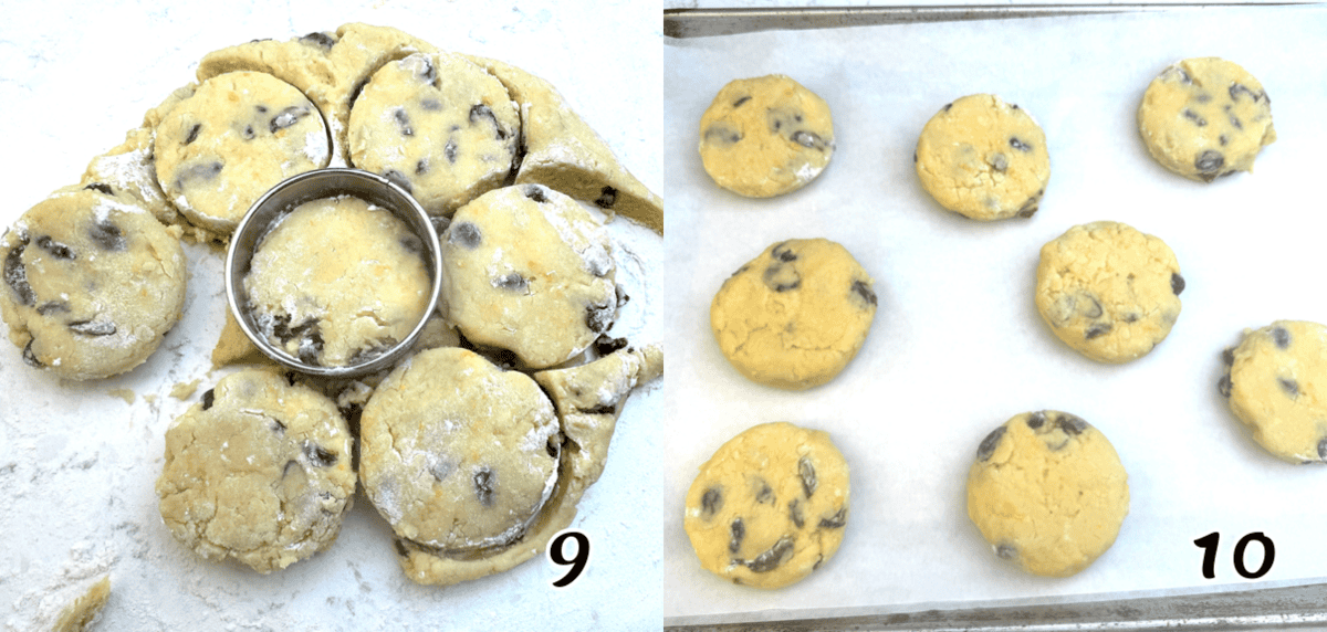 Cut out the scones with a biscuit cutter, and bake.