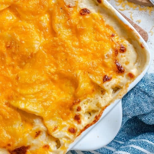 Freshly baked scalloped potatoes ready to grace the holiday table.