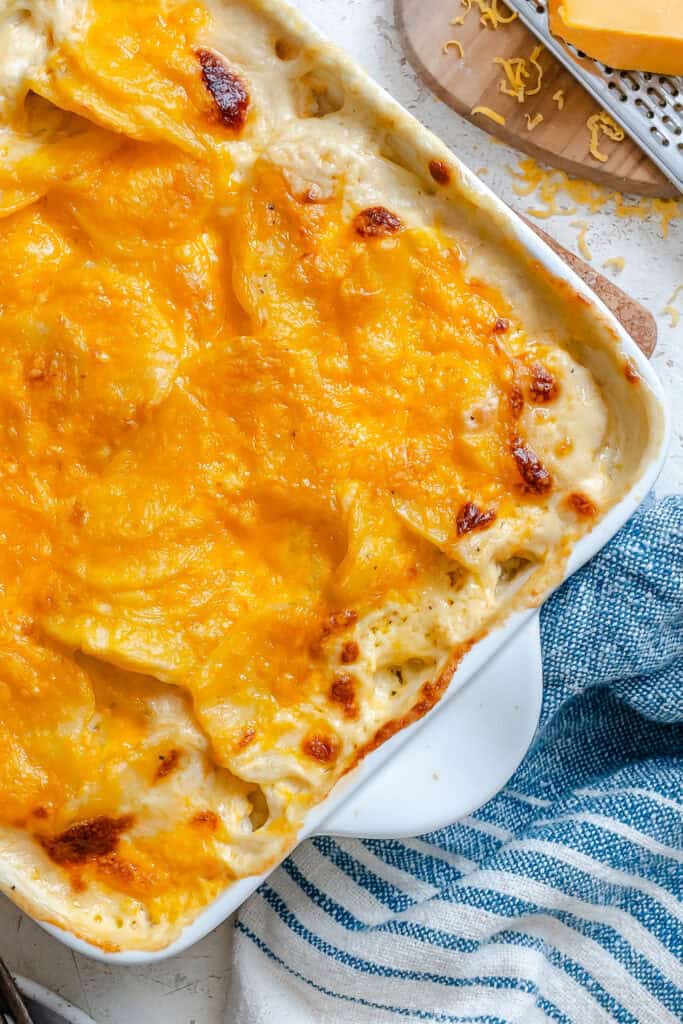 Freshly baked scalloped potatoes ready to grace the holiday table.