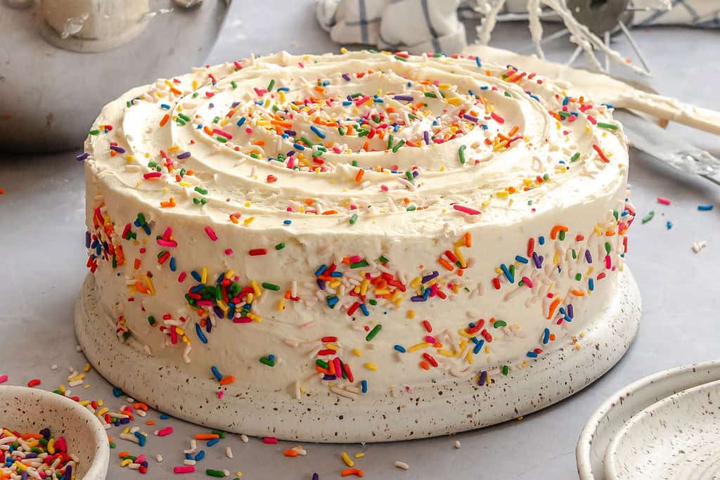 The finished, frosted, and sprinkled vanilla cake.