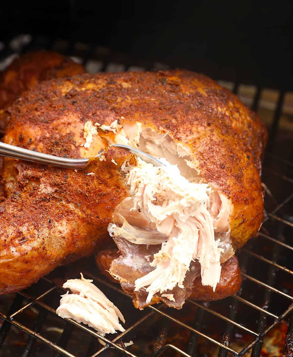 Forking into a tender smoked chicken for pulled chicken tacos.