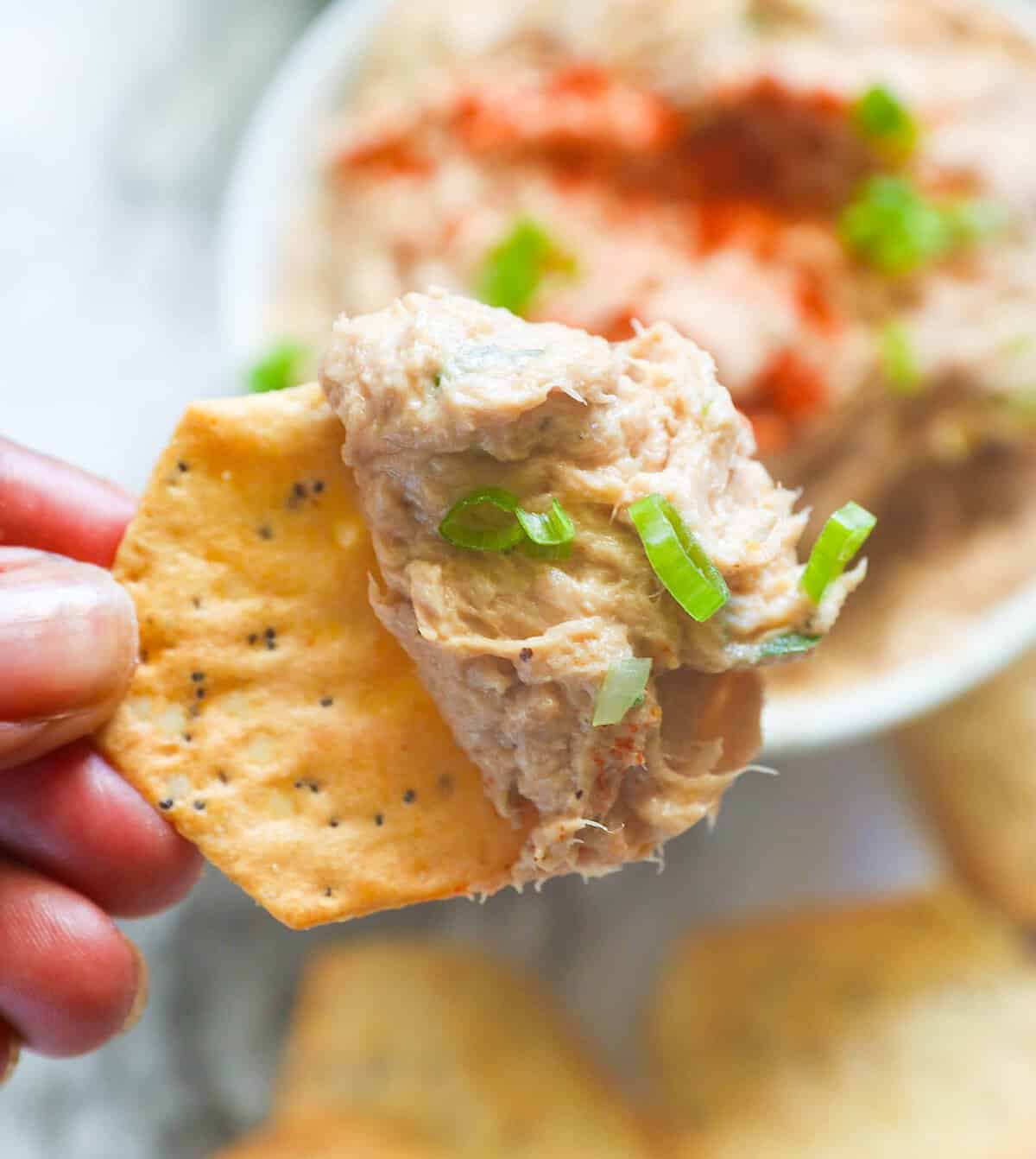 Piling a cracker with dip made from smoked tuna.